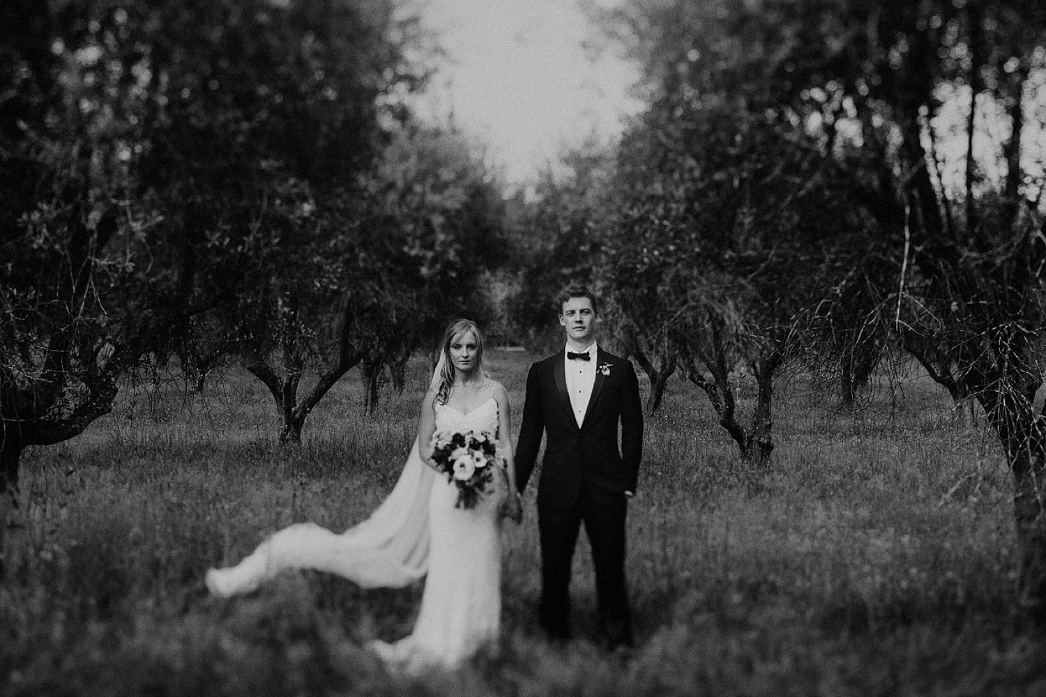 Heather + James // Wollombi Olive Grove Wedding